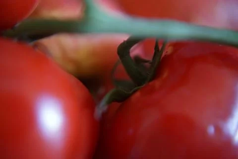 EAT HEALTHY Stock Photos