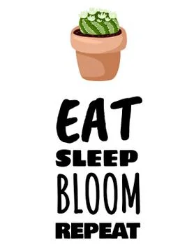 Eat sleep bloom repeat banner. Cactus potted succulent plant postcard. Cozy l Stock Illustration
