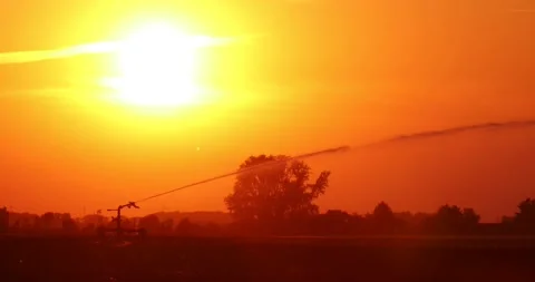 Eat wave and dry fields in agriculture Video stock 163536446