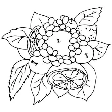 Eatable fruit bouquet doodle vector Stock Illustration
