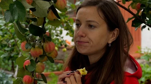 Eating an apple from a tree Stock Footage 94569003