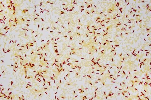 Eating a background of two varieties of Thai rice brown rice mixed with wild Stock Photos