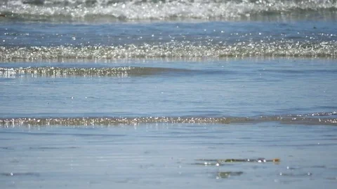 Eating bird in the ocean Stock Footage 75767744