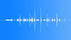 Eating, Chewing, Coconut, Crunchy, Male, V4 Sound Effect
