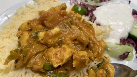 Eating chicken with rice Stock Footage 296426013