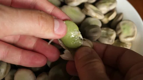 Eating cooked broad beans, peeling the peel skin Stock Footage 136948139