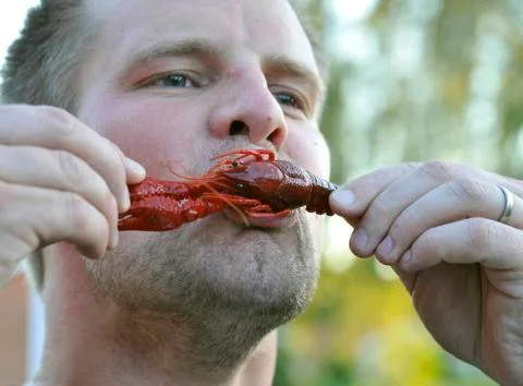 Eating crawfish Stock Photos