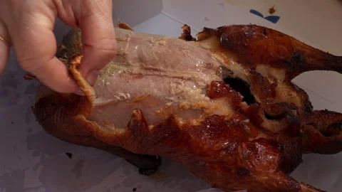 Eating a crispy roast duck. Stock Footage 169577873