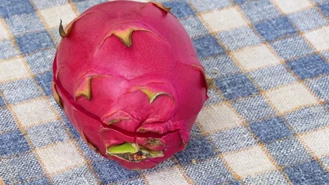 Eating Dragon fruit or Pitaya Stock Footage 80470846