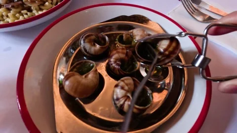 Eating Escargot in Paris Restaurant Stock Footage 302349810
