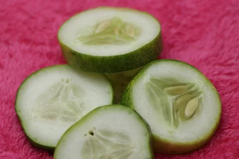 Eating fresh round shape slice cucumber Stock Photos