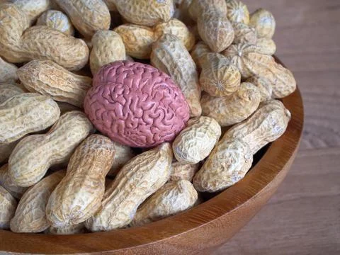 Eating peanuts can help reduce the chance of stroke in the brain. Stock Photos