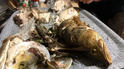 Eating pike perch fish on the plate Stock Footage 122080153