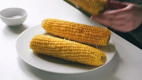 Eating prepared corn cobs at the table Stock Footage 162568092