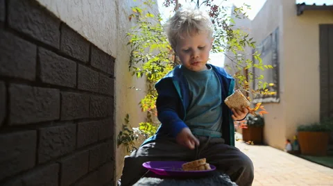 Eating sandwich boy Stock Footage 53088076