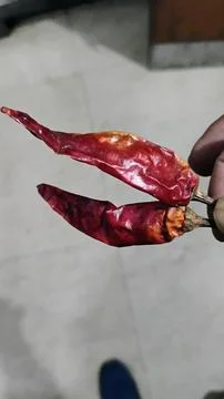 Eating too much red chilli can also increase inflammation in the body, Stock Photos