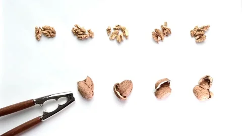 Eating walnuts Stock Footage 122642783