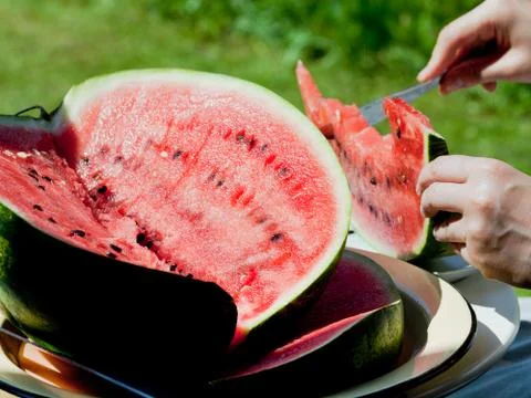 Eating watermelon Stock Photos