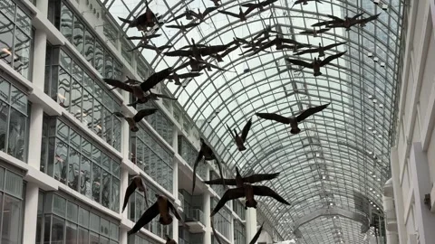 Eaton centre, Toronto Canada Stock Footage 306621312