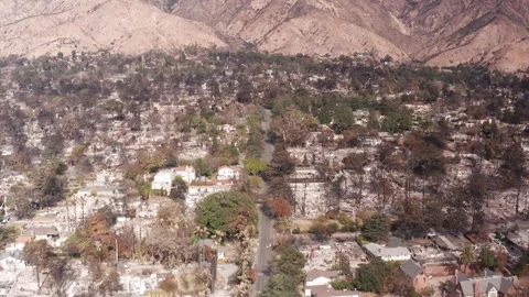 Eaton Fire Burn Zone in Altadena, California Stock Footage 302371016