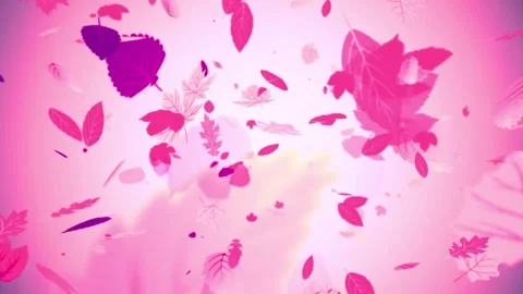 Eautiful autumn colored leaves falling from the sky Looping 4K UHD Stock-Footage 334271468
