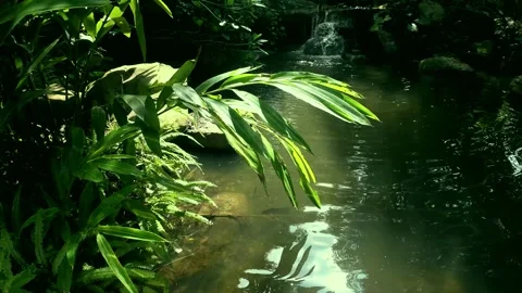 Eautiful Shimmering Small Pond with Rippling Water 4K Stock Footage 317626671