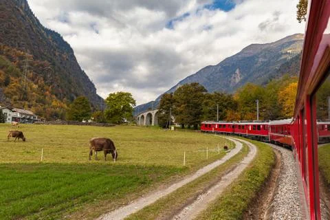 Eautiful view of red Rhaetian train running towards Brusio spiral viaduct, Gr Photos