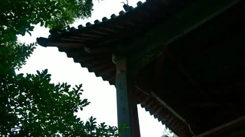 Eaves silhouette &amp; tree shadows. Stock Footage 11732573