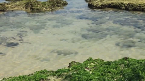 The ebb and flow of the tide leaves a beach surface base of white sand Stock Footage 281323658