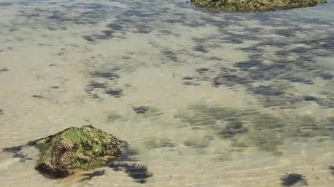 The ebb and flow of the tide leaves a beach surface base of white sand Video stock 281323688