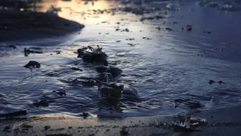 Ebb and flow of water on Lake Viedma, with pieces of ice before sunrise Stock Footage 287946906