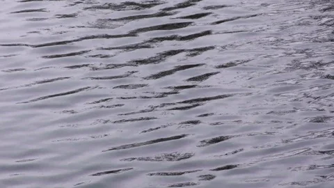 Ebb and Flow of Water Ripples Stock Footage 75657581