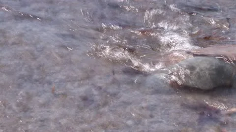 Ebb &amp; Flow Video stock 10902408