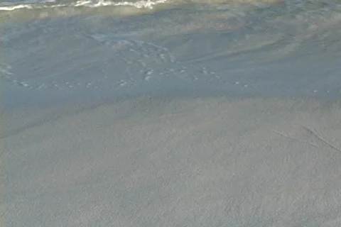 Ebb Tide Stock Footage 508994