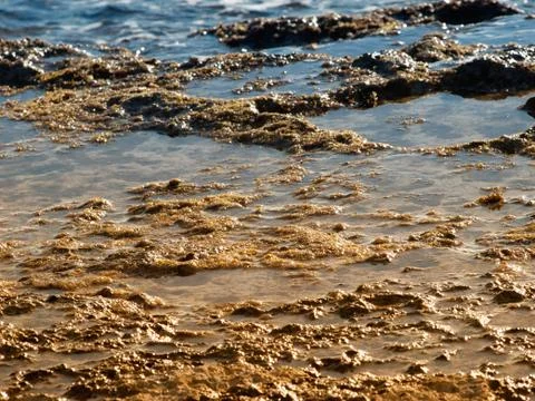 Ebb tide Stock Photos