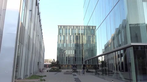 Ebbepark Video stock 287493522