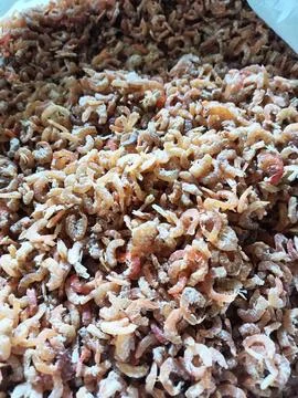 Ebi is a small dried shrimp. Foto stock