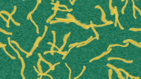 Ebola generated seamless loop video Stock Footage 43895292