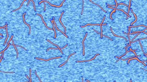 Ebola generated seamless loop video Stock Footage 44669953