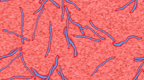 Ebola generated seamless loop video Stock Footage 44914446