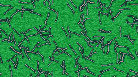 Ebola generated seamless loop video Stock Footage 45044408
