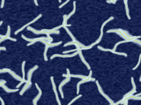 Ebola generated seamless loop video, 640x480 Stock Footage 47377339