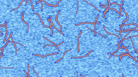 Ebola generated seamless loop video Stock Footage 67101023