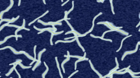 Ebola generated seamless loop video Stock Footage 67101049