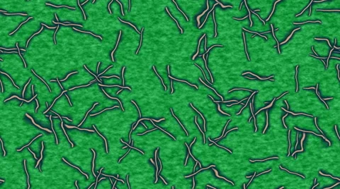 Ebola generated seamless loop video Stock Footage 67101080