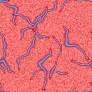 Ebola seamless generated hires texture イラスト素材