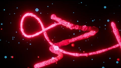 Ebola virus 3d animation in humman body 4k Stock Footage 244930153