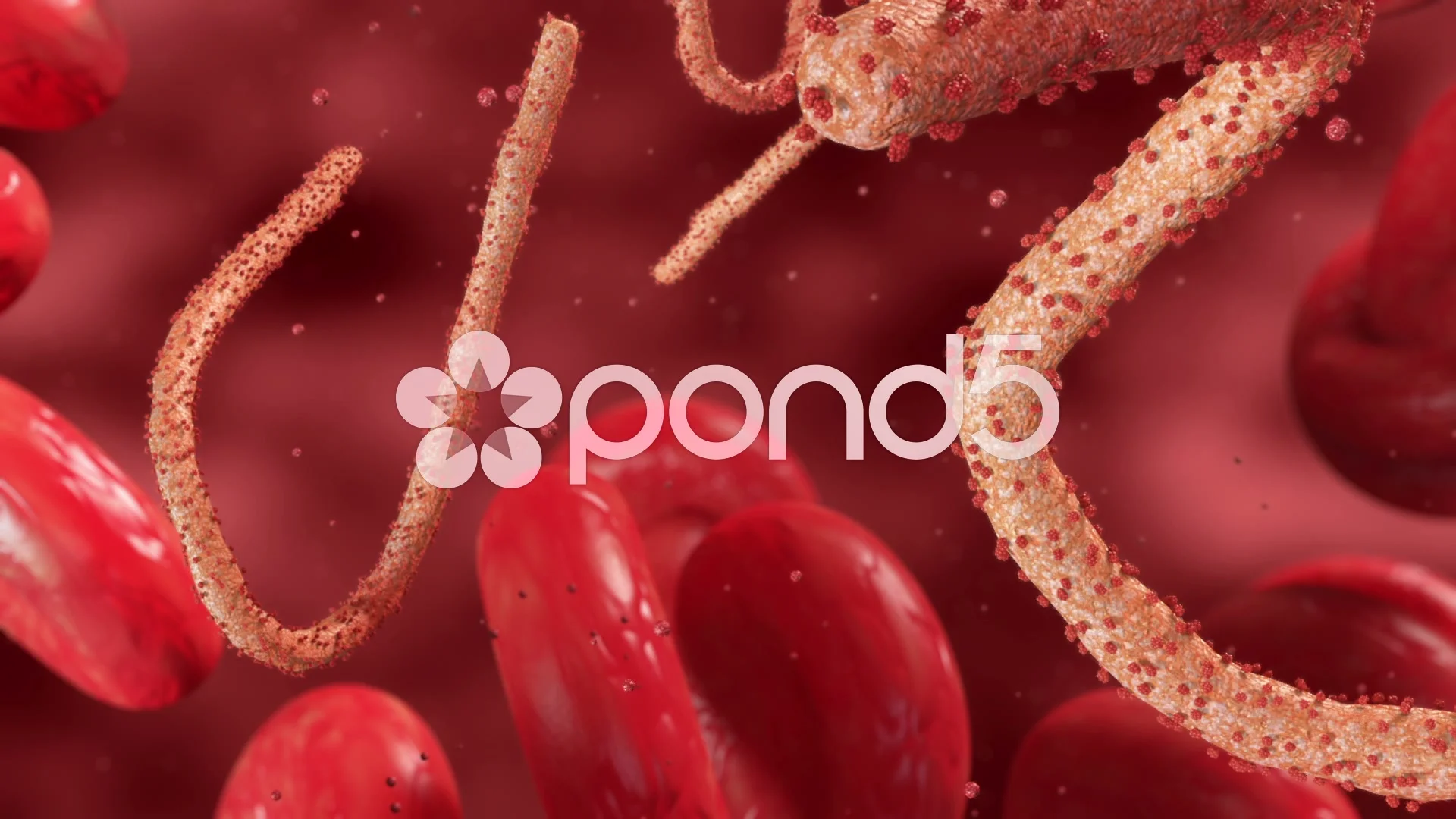 Ebola Virus in Blood Stream HD // Medica... | Stock Video | Pond5
