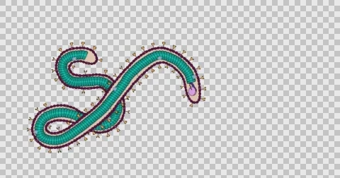 Ebola Virus Floating Looped Video stock 64389816