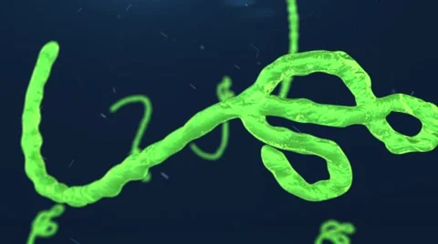 Ebola Virus Video stock 46152298